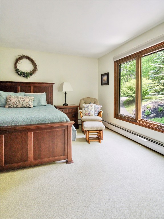1989 N Cafferty Road, Endicott, New York image 36