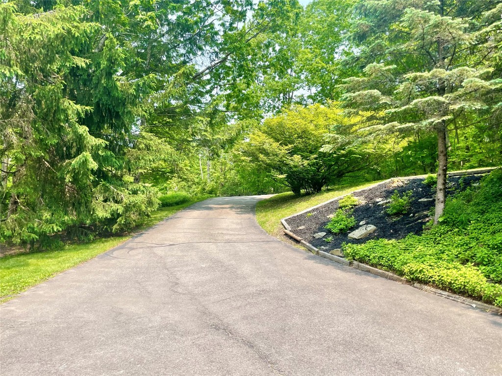 1989 N Cafferty Road, Endicott, New York image 4