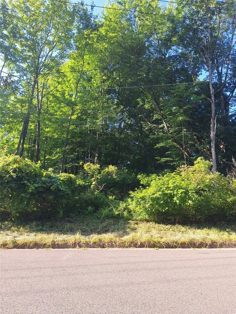 Vacant Land For Sale - 941 Buffalo Street<br/> Broome County, Endicott, NY 13760