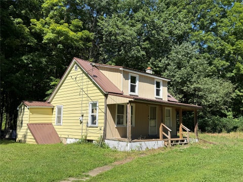 Homes For Sale - 105 Ganoungtown Road<br/> Port Crane, NY 13833