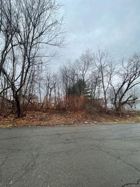 Vacant Land For Sale - 714 Squires Avenue<br/> Broome County, Endicott, NY 13760