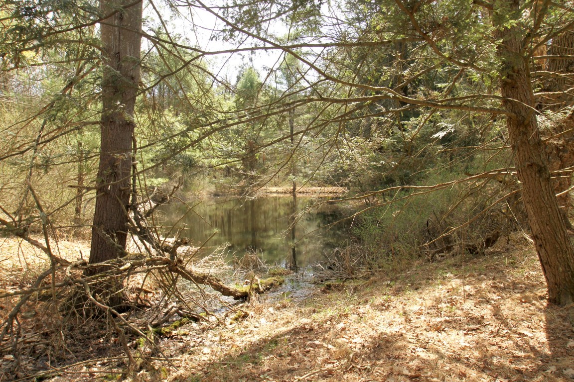 440 Costley Road, Vestal, New York image 37