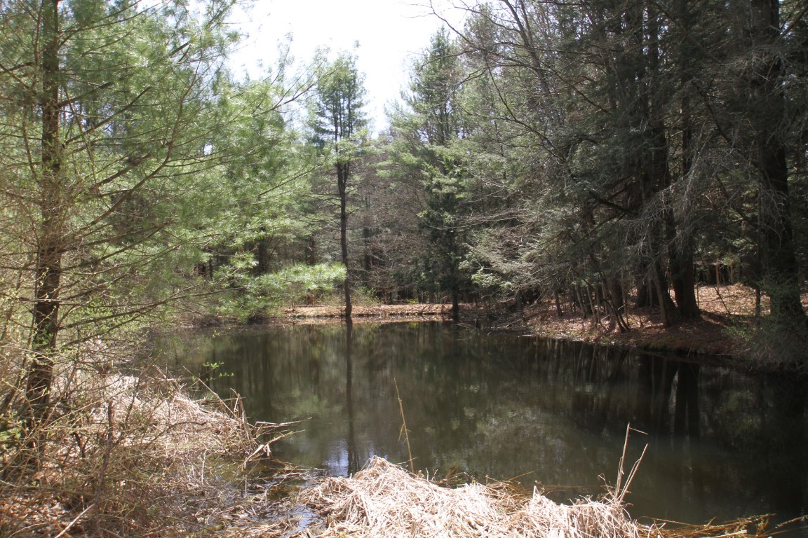 440 Costley Road, Vestal, New York image 38