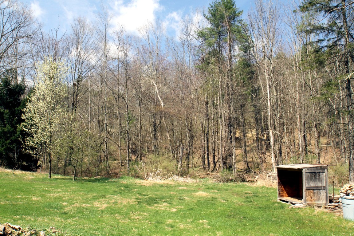 440 Costley Road, Vestal, New York image 25