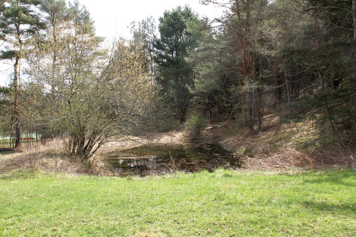 440 Costley Road, Vestal, New York image 27