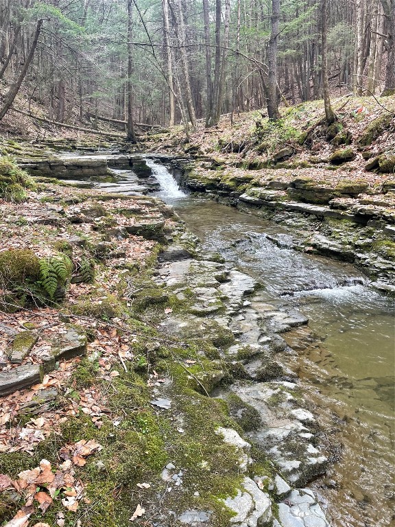 440 Costley Road, Vestal, New York image 35