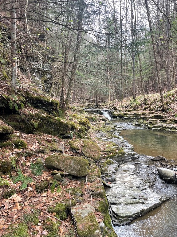 440 Costley Road, Vestal, New York image 34