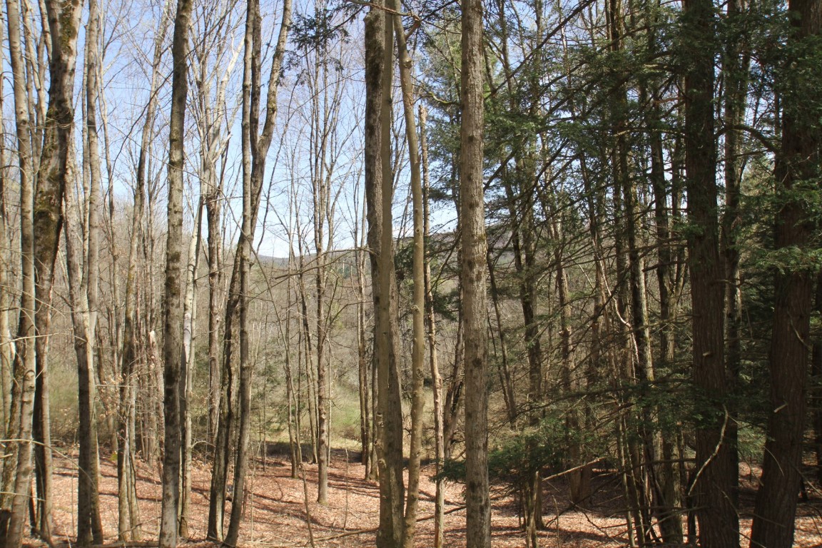 440 Costley Road, Vestal, New York image 40