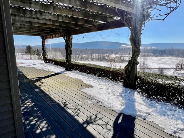 153 Glenmary Drive, Owego, New York image 29