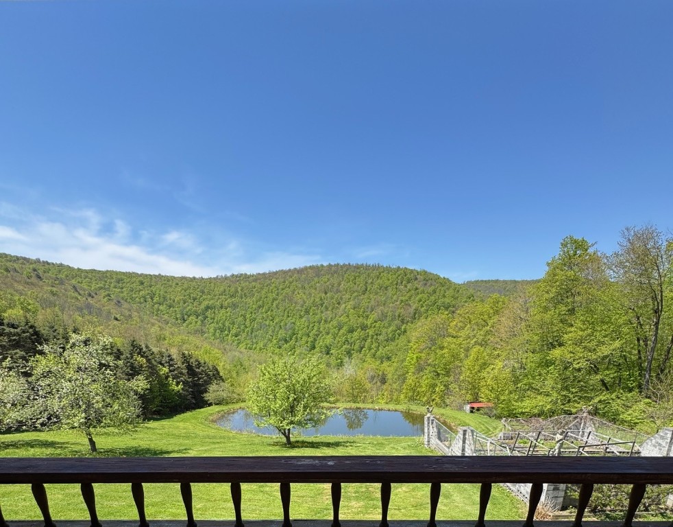 1624 Carcass Road, Walton, New York image 42