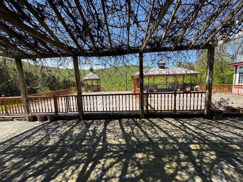 1624 Carcass Road, Walton, New York image 41