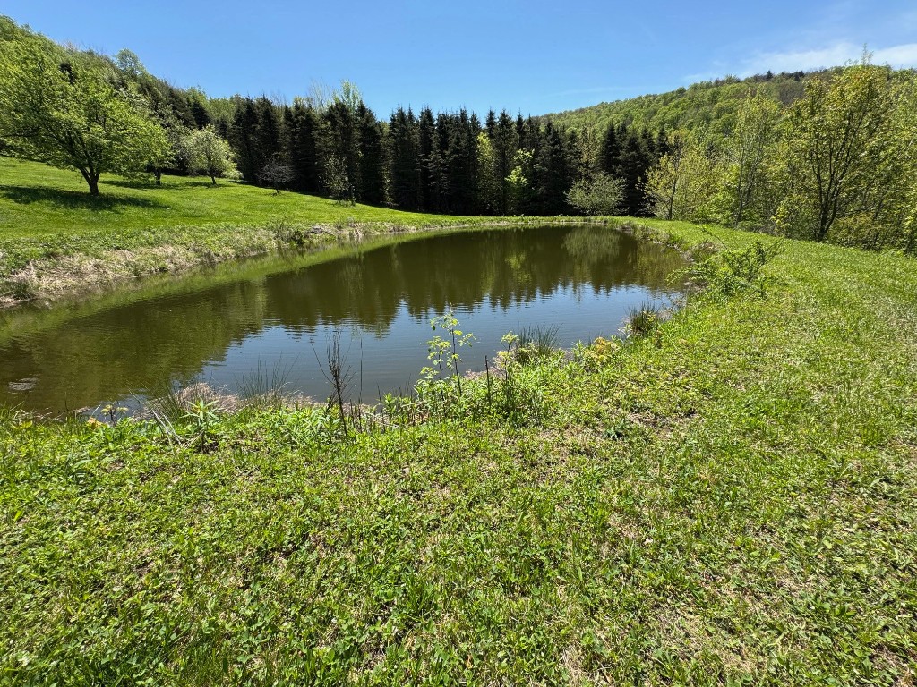 1624 Carcass Road, Walton, New York image 4