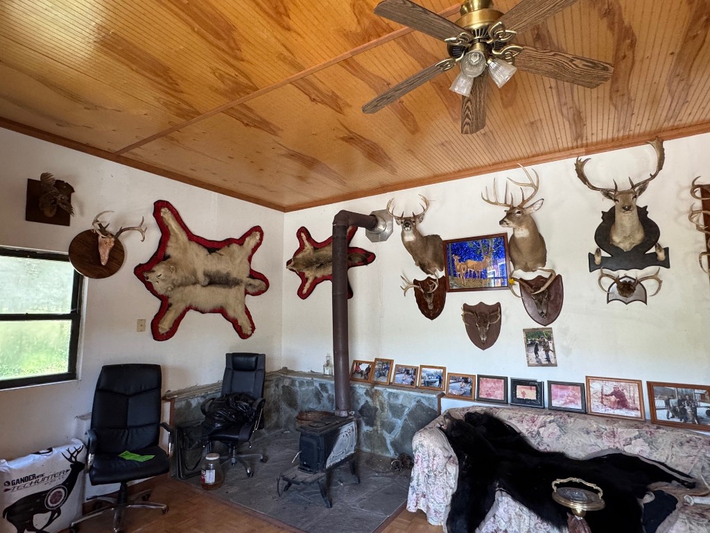 1624 Carcass Road, Walton, New York image 38