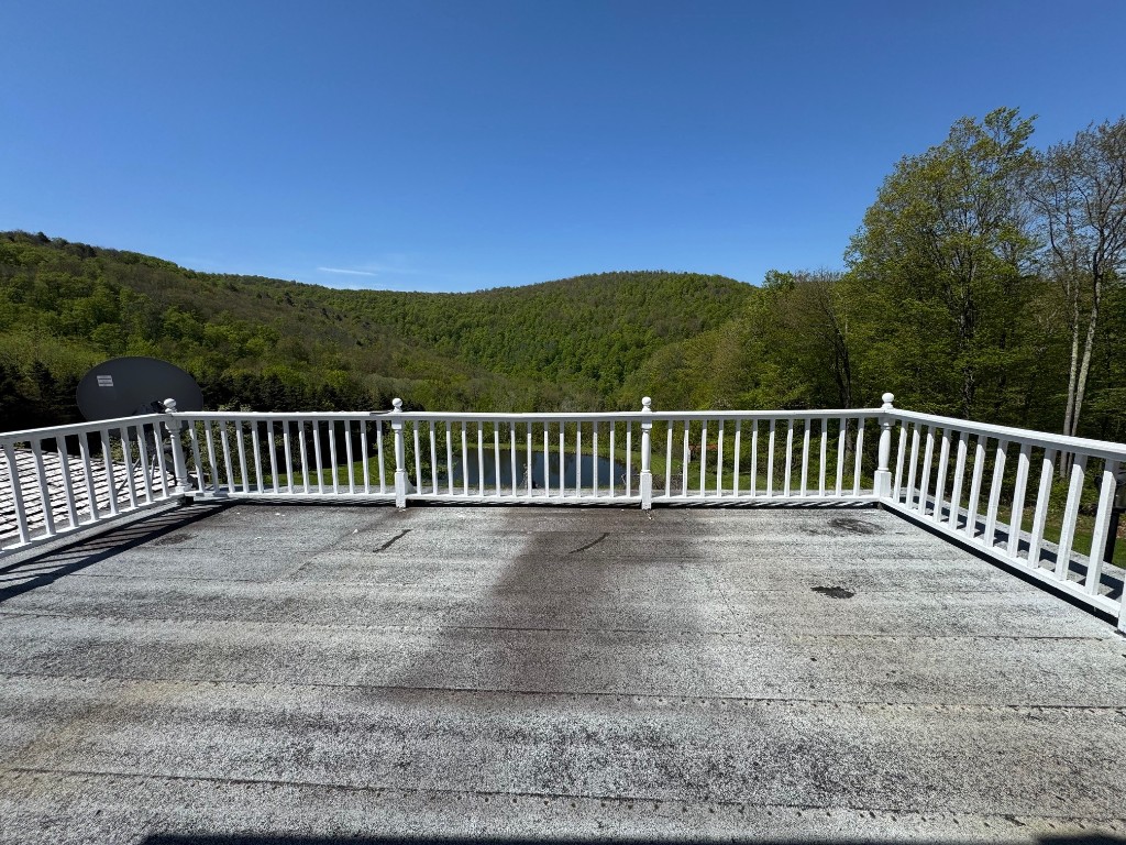 1624 Carcass Road, Walton, New York image 21