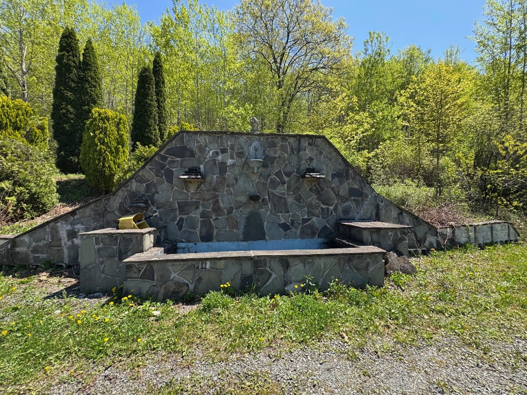 1624 Carcass Road, Walton, New York image 45
