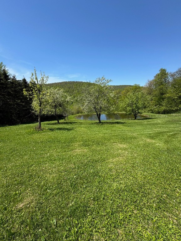 1624 Carcass Road, Walton, New York image 47