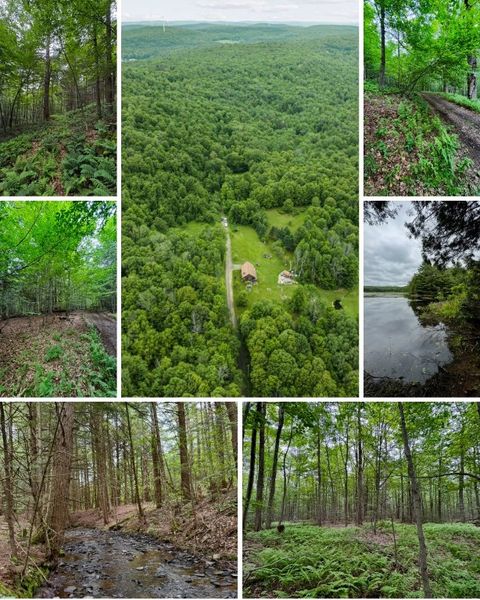 308 Tennent Road 2 Sanford NY 13865