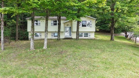 40 Grand Street Binghamton NY 13903