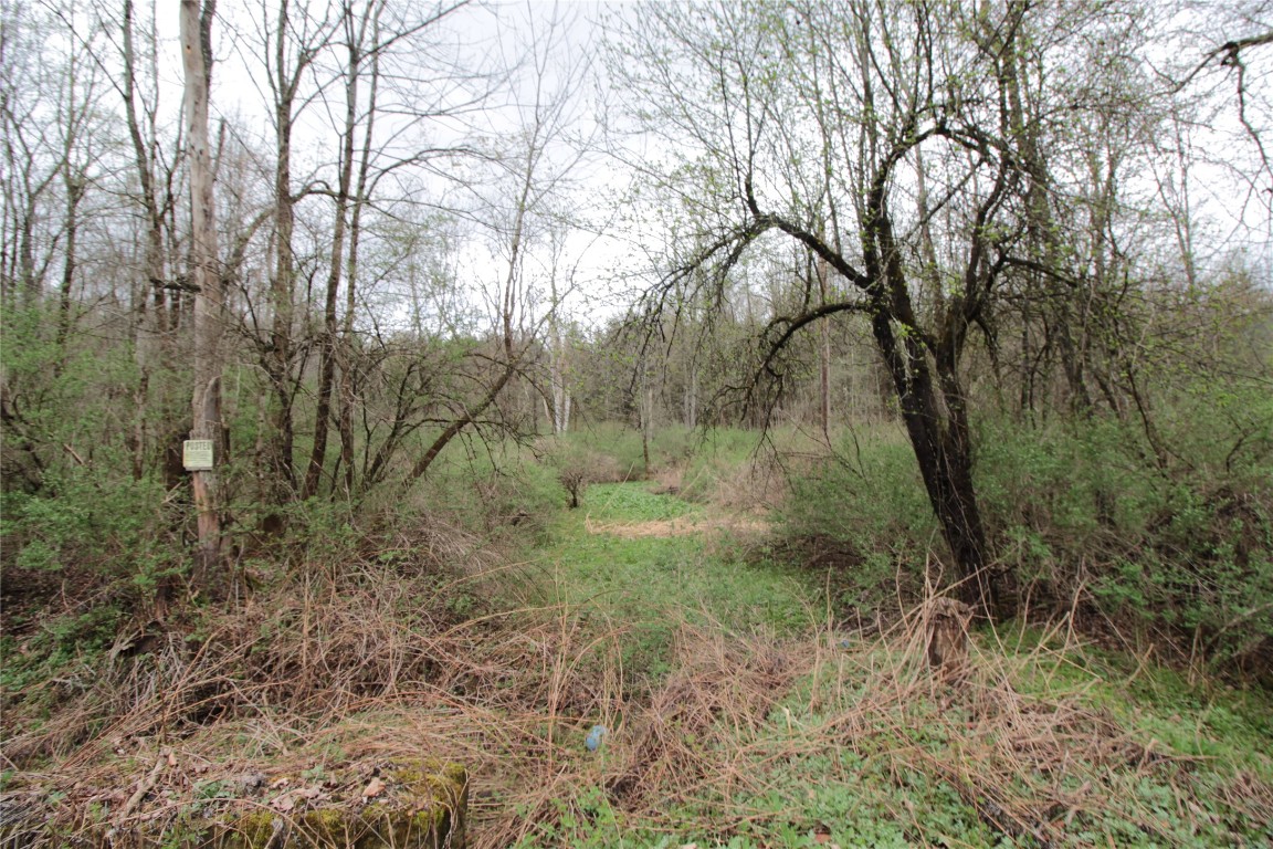 132 Brown Road, Oxford, New York image 25