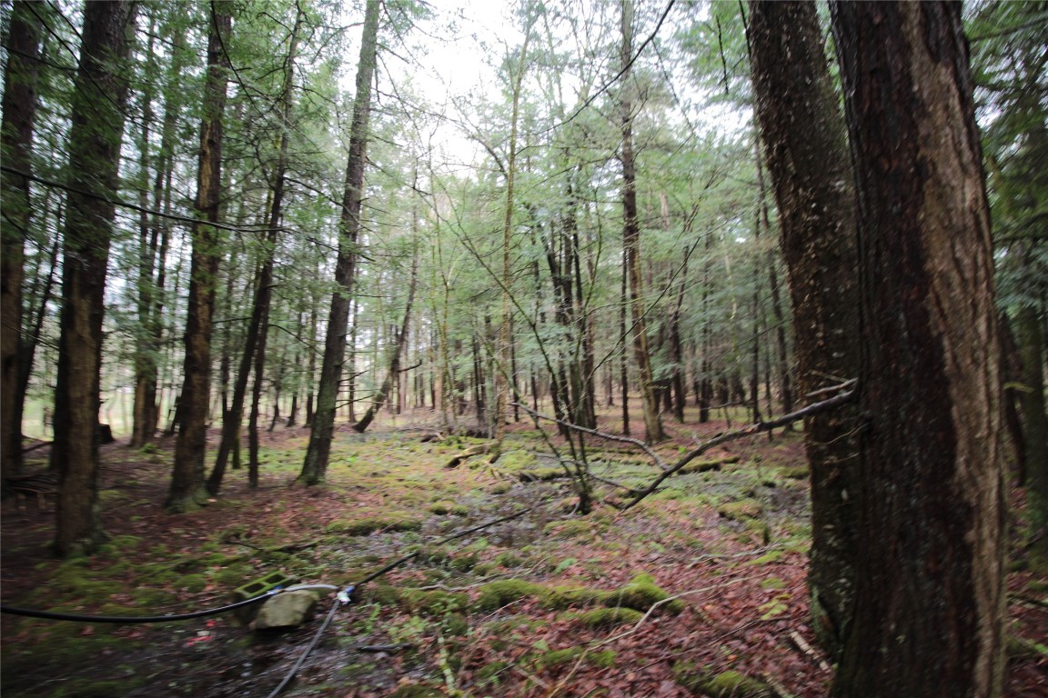 132 Brown Road, Oxford, New York image 24