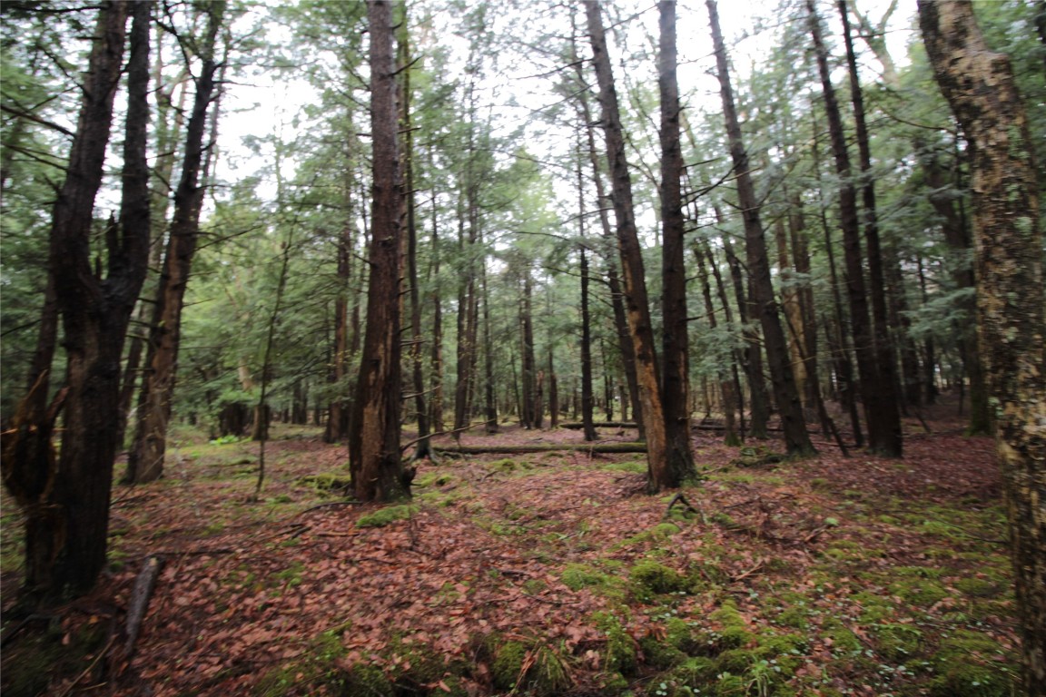 132 Brown Road, Oxford, New York image 32