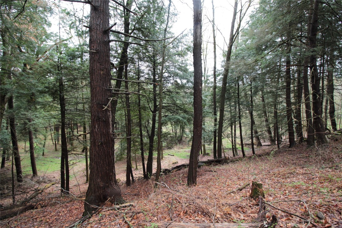 132 Brown Road, Oxford, New York image 29
