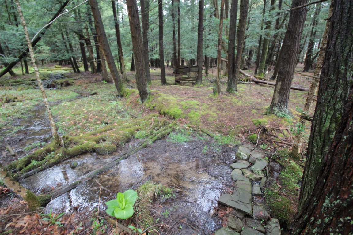 132 Brown Road, Oxford, New York image 22