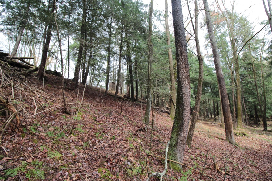 132 Brown Road, Oxford, New York image 26