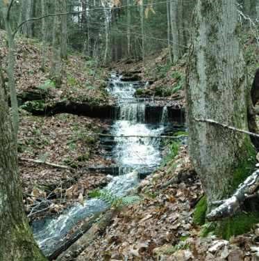 132 Brown Road, Oxford, New York image 34