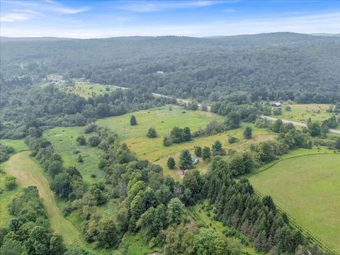 Vacant Land For Sale - 1668 State Highway 41<br/> Afton, NY 13730