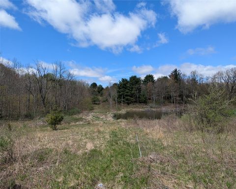Vacant Land For Sale - 1569 Oakdale Road<br/> Johnson City, NY 13790