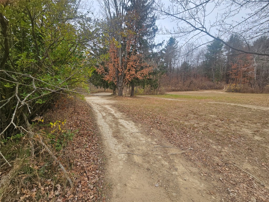 1033 Red Brush Road, Nichols, New York image 7