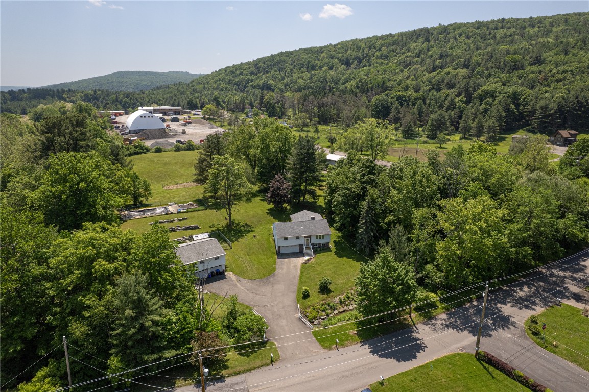 233 Juneberry Road, Vestal, New York image 35