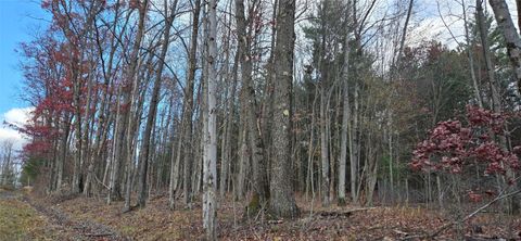 Vacant Land For Sale - 123 Ransom Road<br/> Binghamton, NY 13901