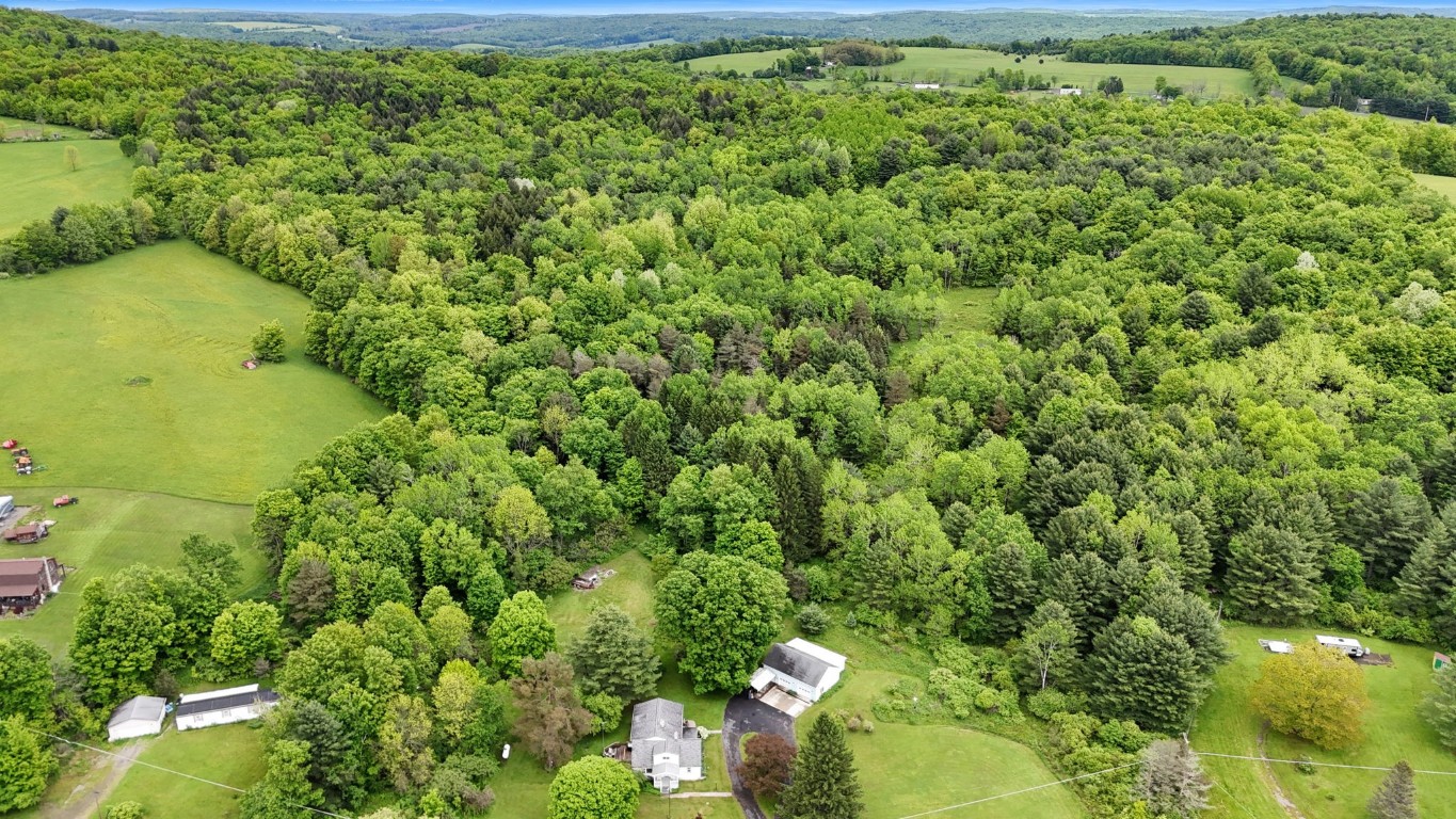 1153 S Ketchumville Rd, Newark Valley, New York image 45