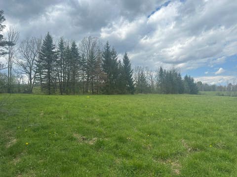 Vacant Land For Sale - 199 Castleman Road<br/> Vestal, NY 13850