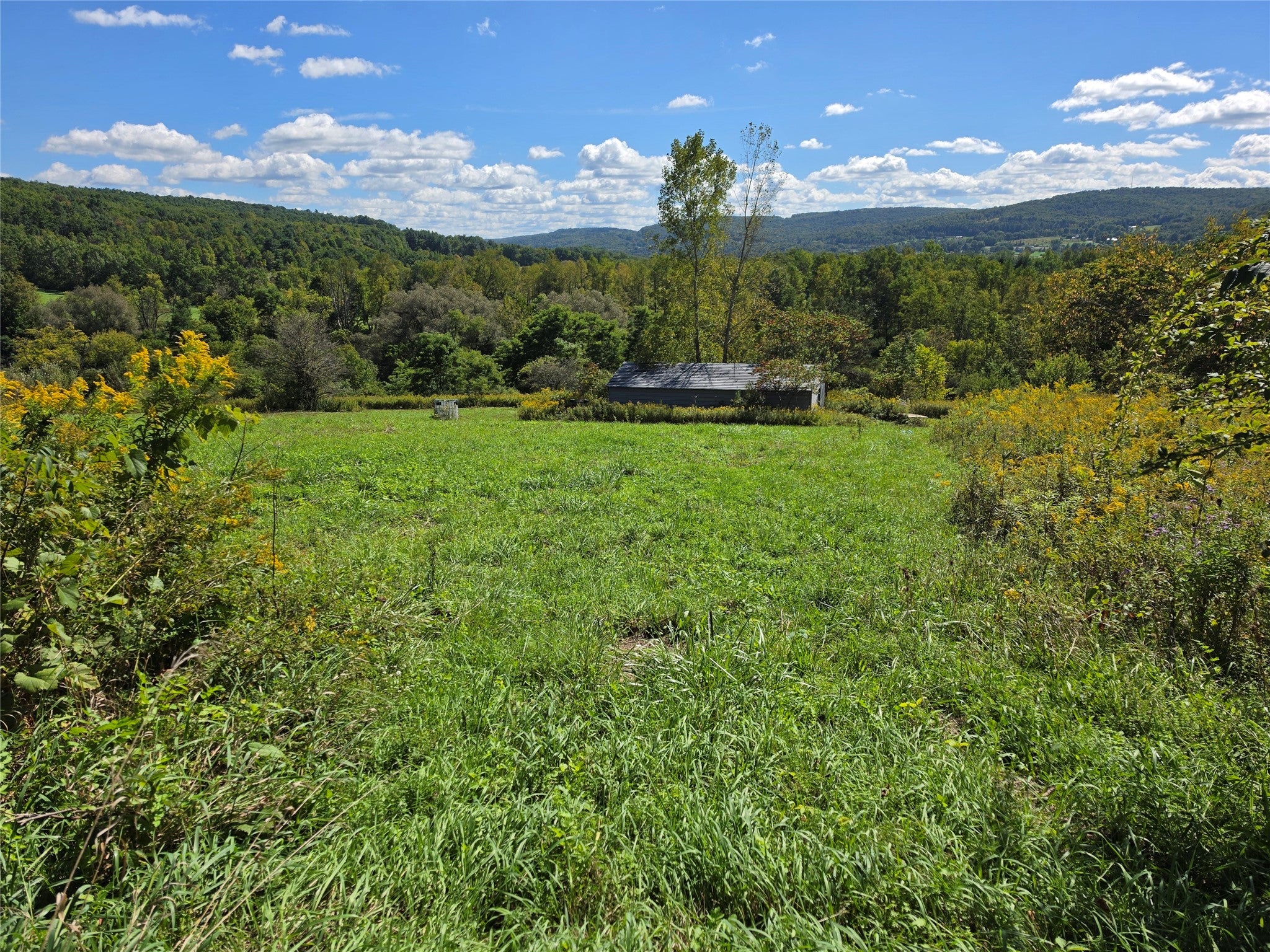 2840 Route 206, NYS - Photo 3