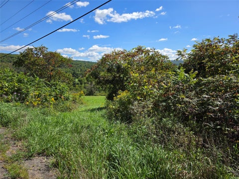 Vacant Land For Sale - 2840 Route 206, Nys<br/> Whitney Point, NY 13862