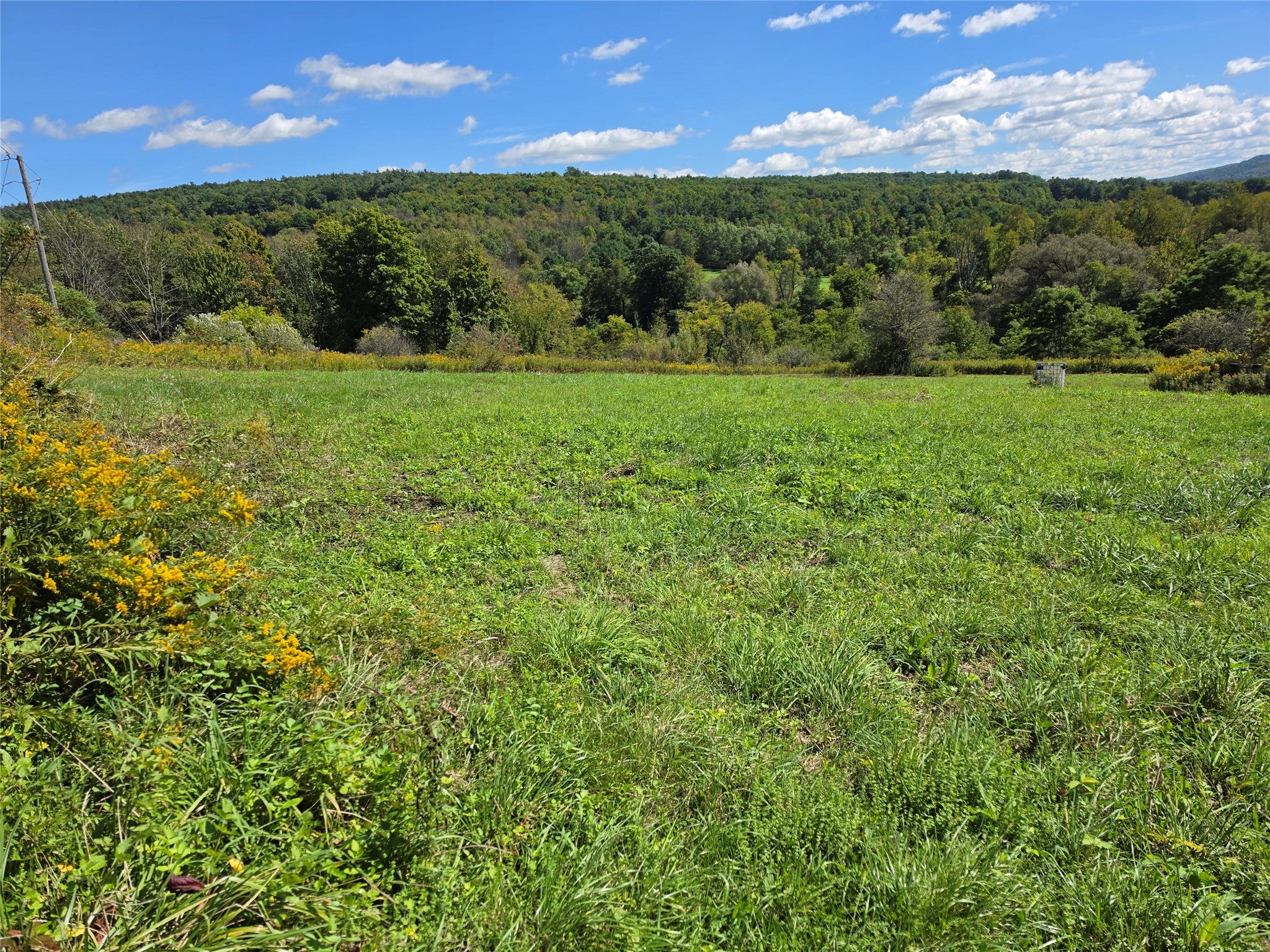 2840 Route 206, NYS - Photo 2