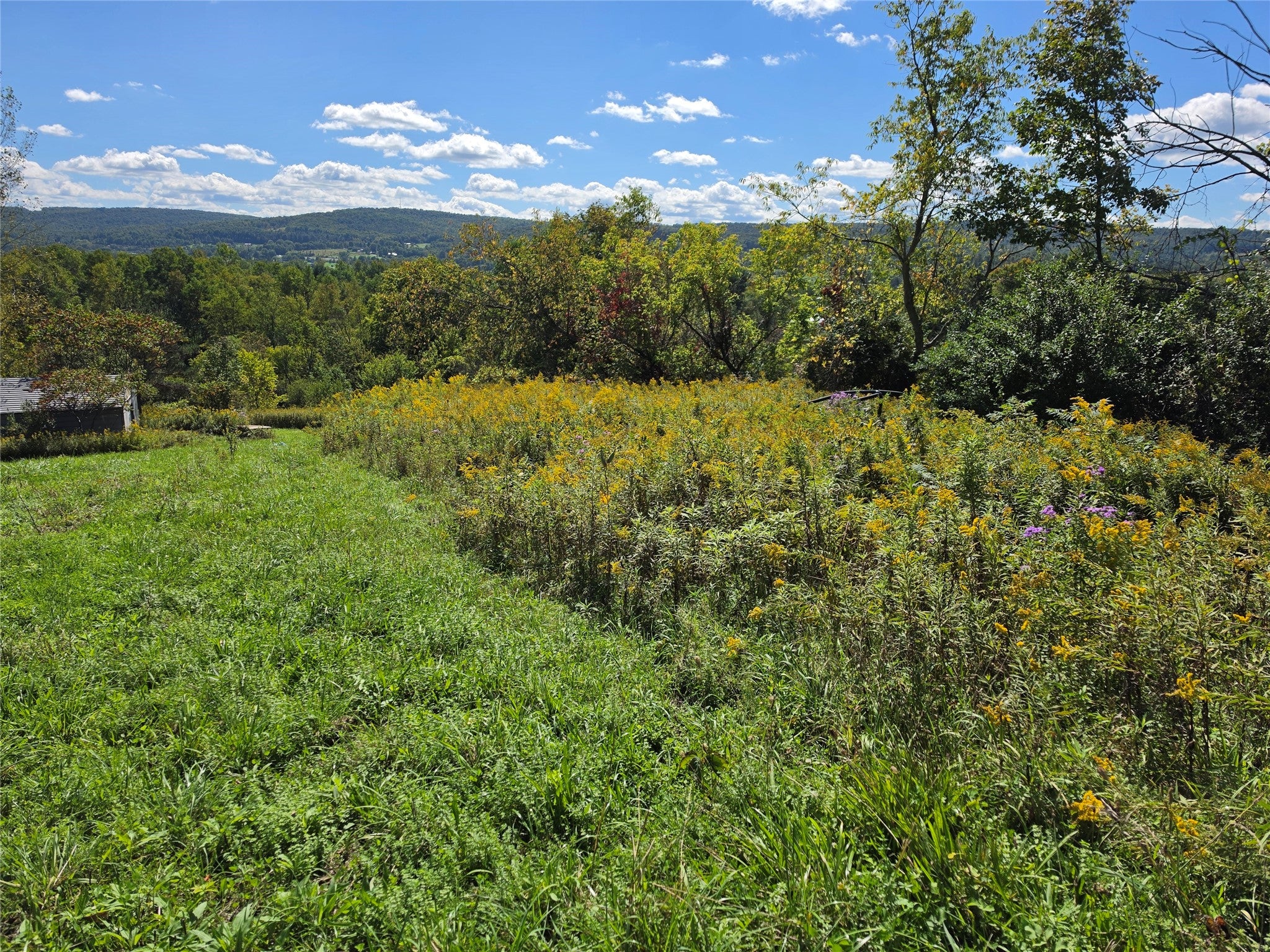 2840 Route 206, NYS - Photo 4