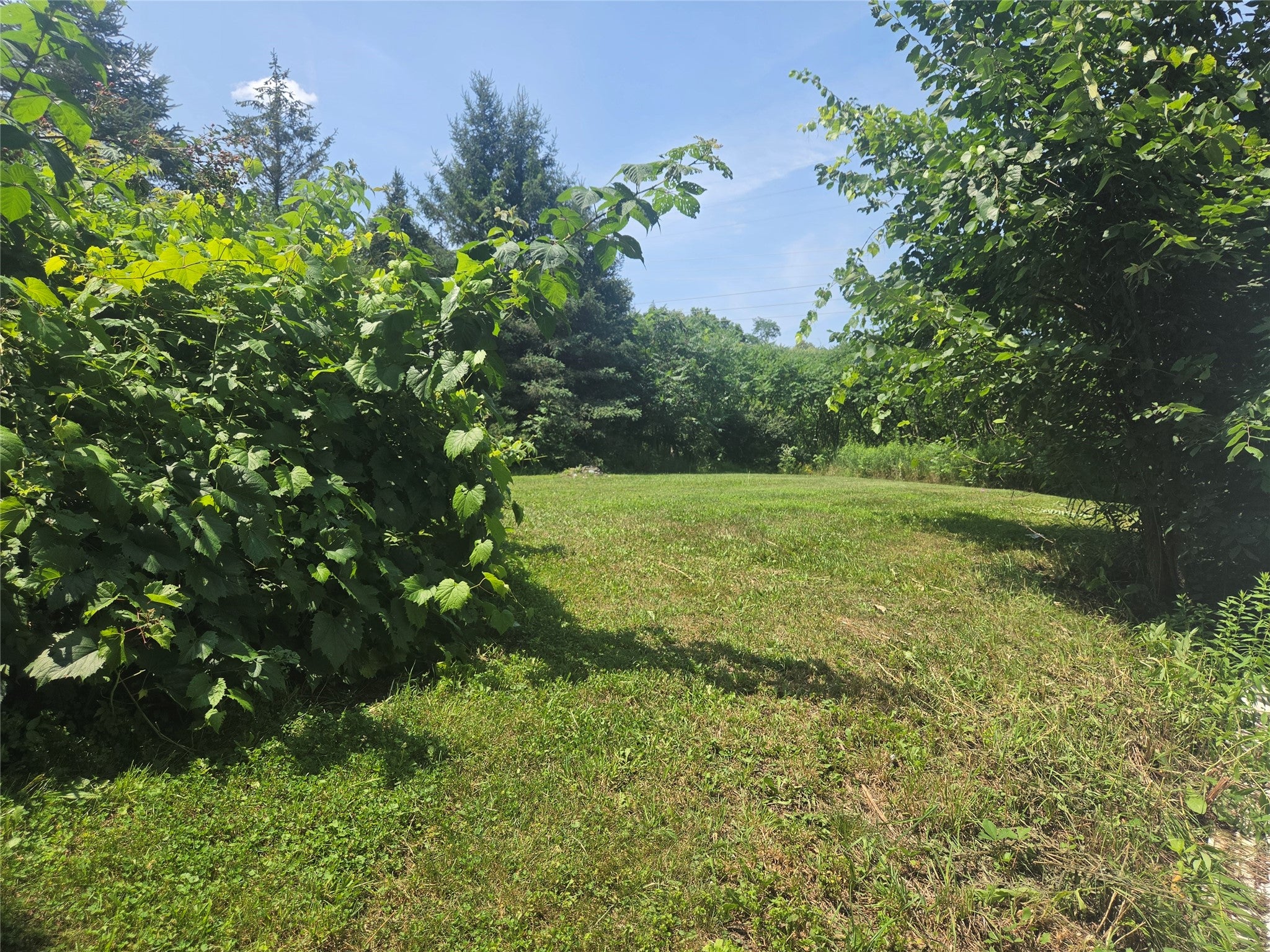 1055 Glenmary Drive - Photo 3