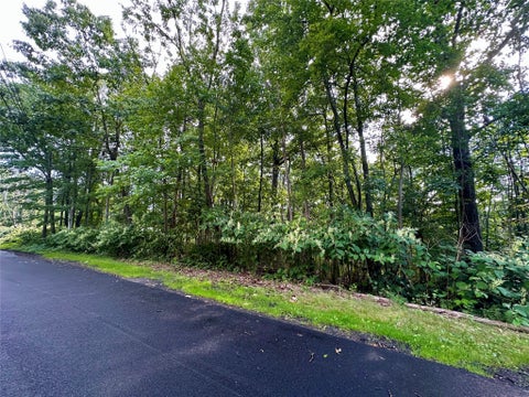 Vacant Land For Sale - 32 Forest Hill Road<br/> Broome County, Binghamton, NY 13903