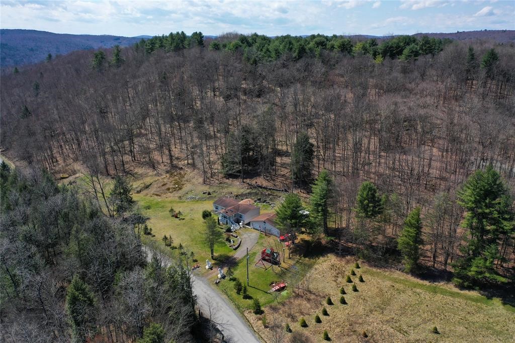 1215 Bush Road, Hancock, New York image 37