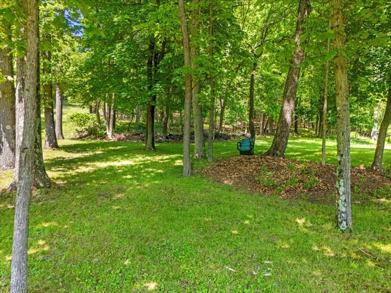 217 Smith Road, Binghamton, New York image 43
