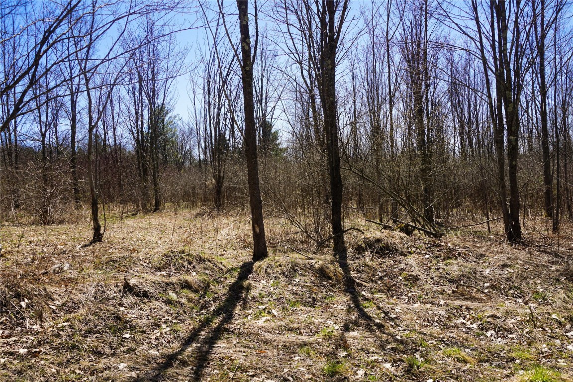 185 Corson Road, Maine, New York image 19