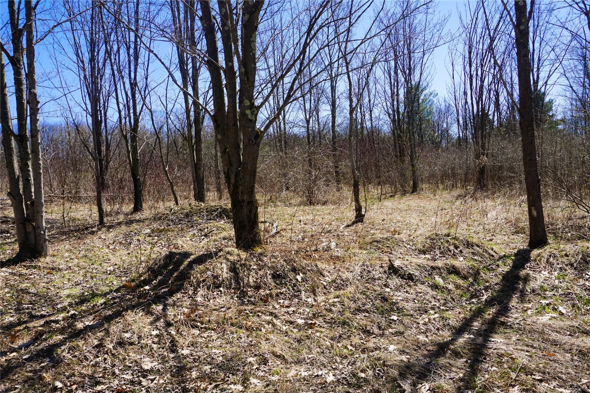 185 Corson Road, Maine, New York image 20