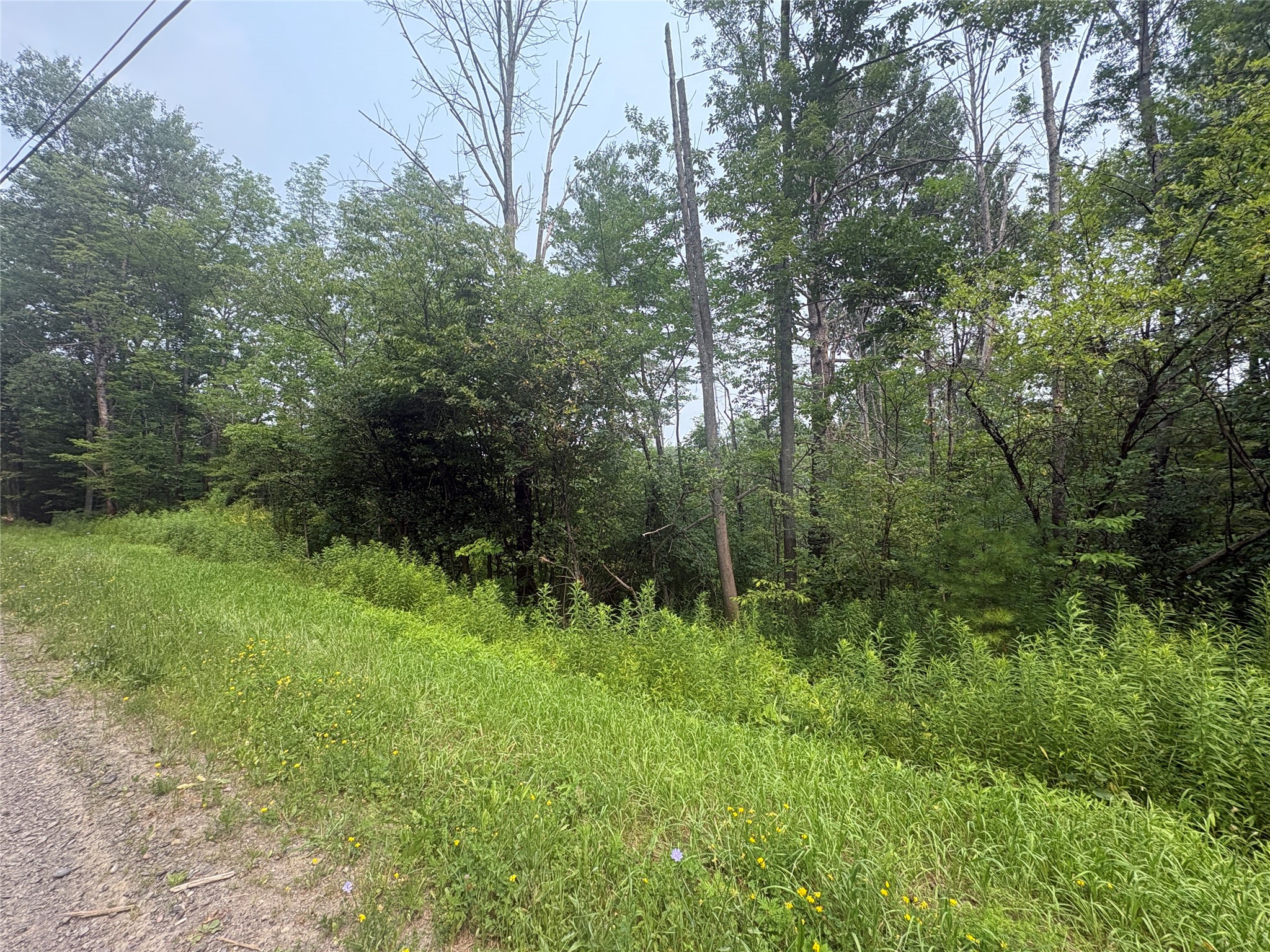 Photo 1 of 3 — 0 Ketchumville Rd, Newark Valley, NY 13811