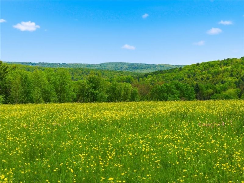 Photo 1 of 26 — 143 Swift Road 1, Binghamton, NY 13905