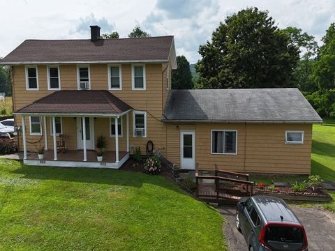 51 Goodrich Road Owego NY 13827