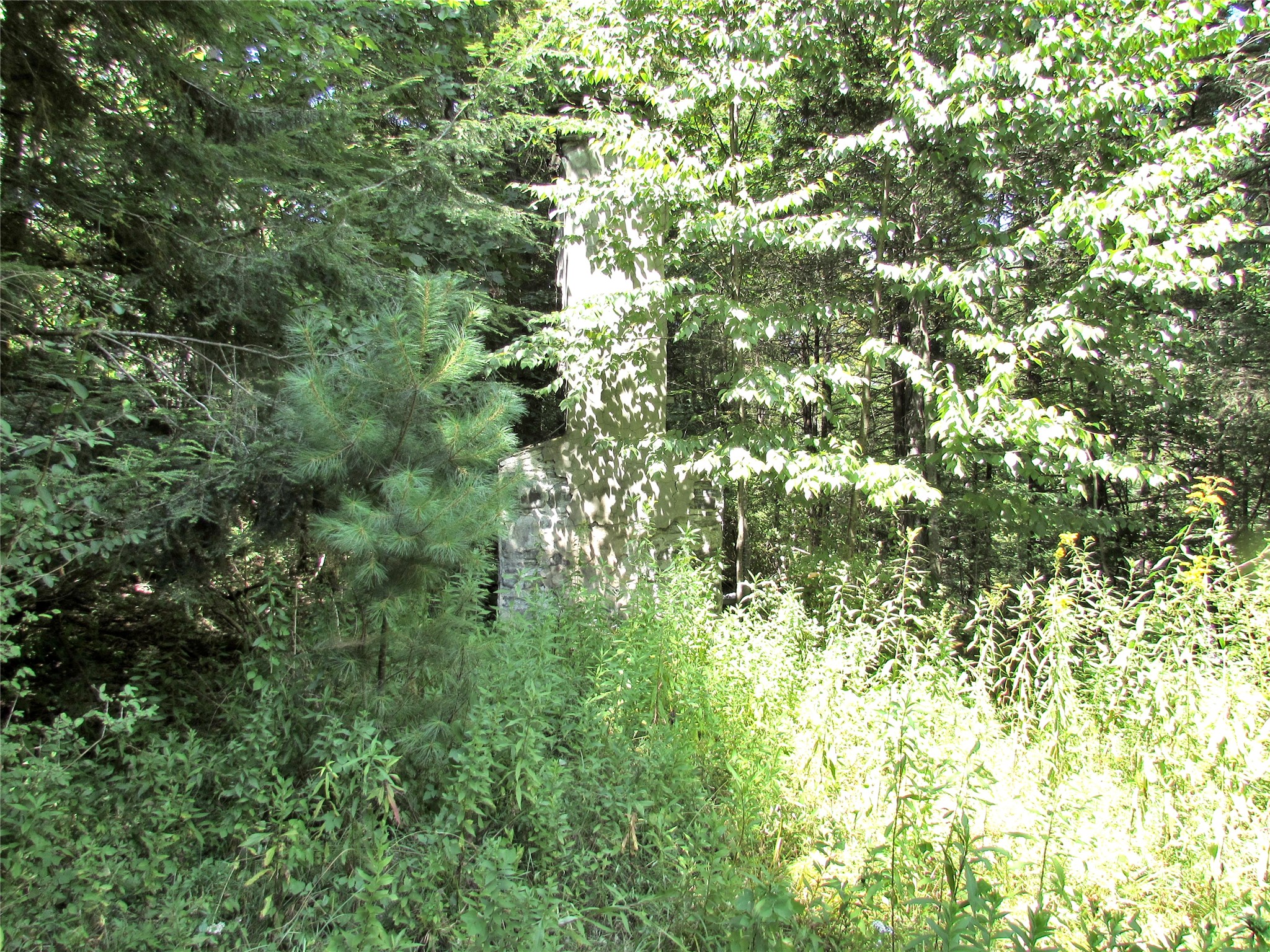 00 Sackett Creek Road - Photo 4